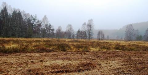 Broyage de restauration - Crédit photo PNRML