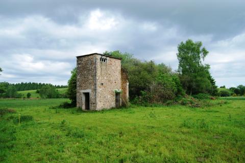 Ruines de l'usine - Crédit photo PNRML