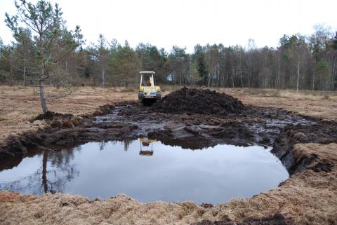 Creusement d'une gouille dans le cadre d'un contrat "ni-ni" - Crédit PNRML
