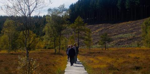 Promeneurs sur le caillebotis - Crédit photo PNRML