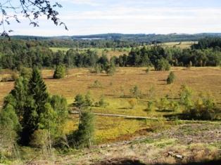 Tourbière de Négarioux - Crédit photo PNRML