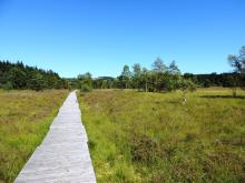 Caillebotis - Crédit photo PNRML